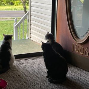 Meet your Posher, Brandi